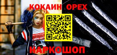 крисы Кингисепп