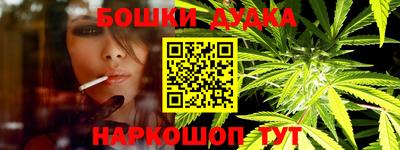 крисы Кингисепп