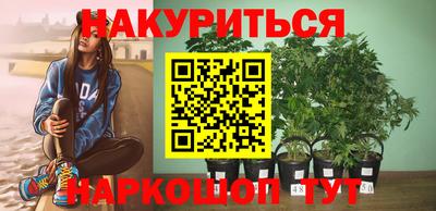крисы Кингисепп
