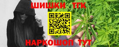 крисы Кингисепп