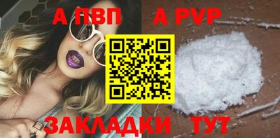крисы Кингисепп