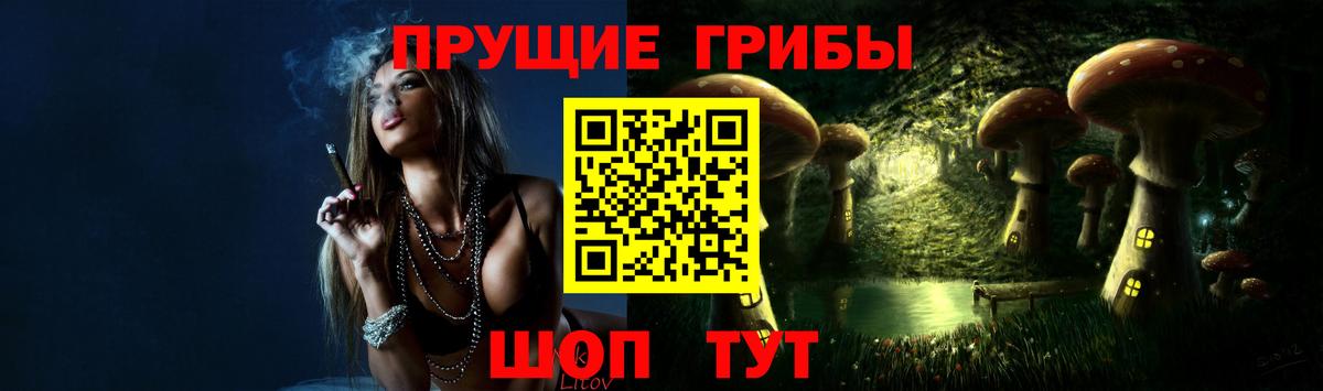 Майкоп  Псилоцибиновые грибы прущие грибы  Вход с VPN  наркотики  Псилоцибиновые грибы Psilocybine cubensis 