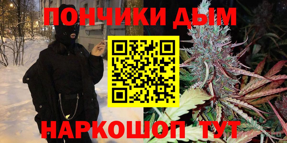 Шишки марихуана семена Майкоп